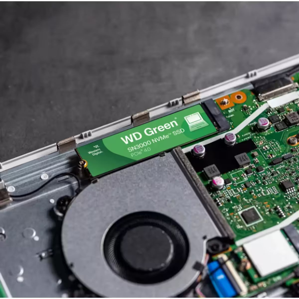 WD Green SN3000 PCIe NVMe SSD WD Green SN3000 PCIe NVMe SSD